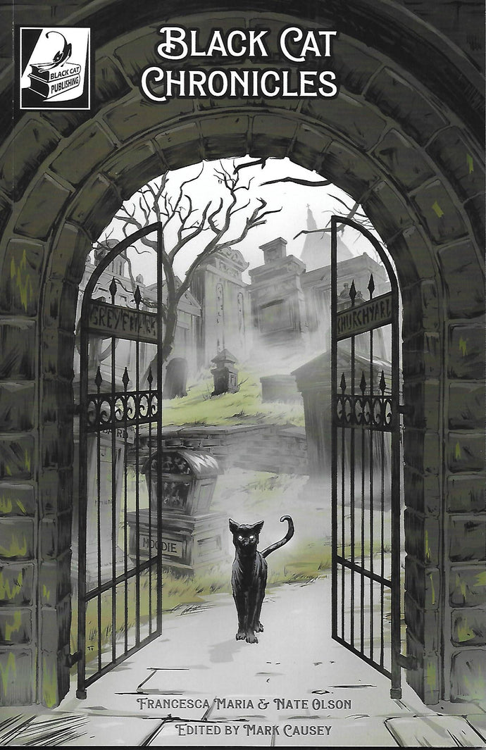 Black Cat Tales: An Anthology of Black Cats