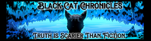 Black Cat Chronicles #3 Smoke Package