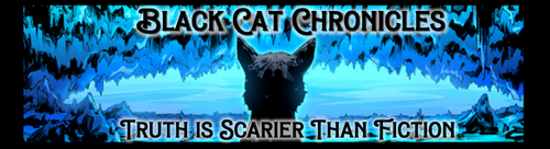 Black Cat Chronicles #3 Bookmark
