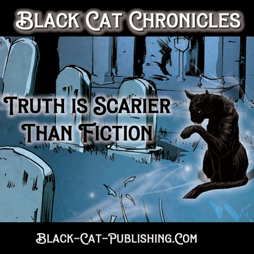 Black Cat Chronicles #1 Sticker